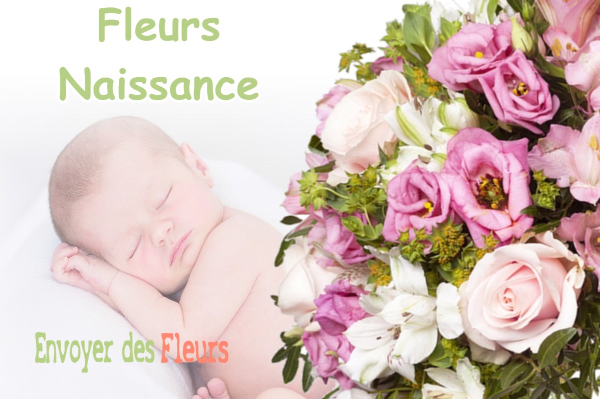 lIVRAISON FLEURS NAISSANCE à SAINT-GEORGES-DE-BOHON